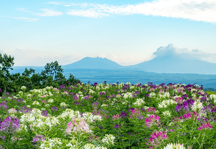 産山村から阿蘇山を望む写真