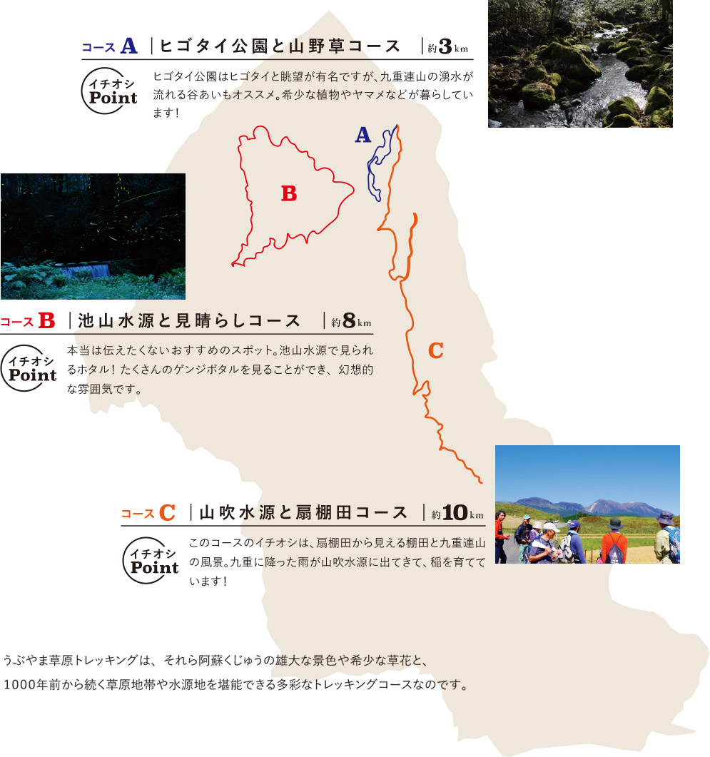 産山トレッキングのコース説明 - Aコース：ヒゴタイ公園と山野草コース 約3km、Bコース：池山水源と見晴らしコース　 約8km、Cコース：山吹水源と扇棚田コース　約10km